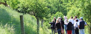Sustainable Farming Tour