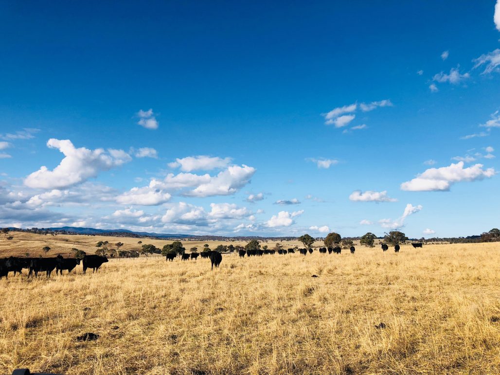 Tarinore Regenerative Farming Education Centre